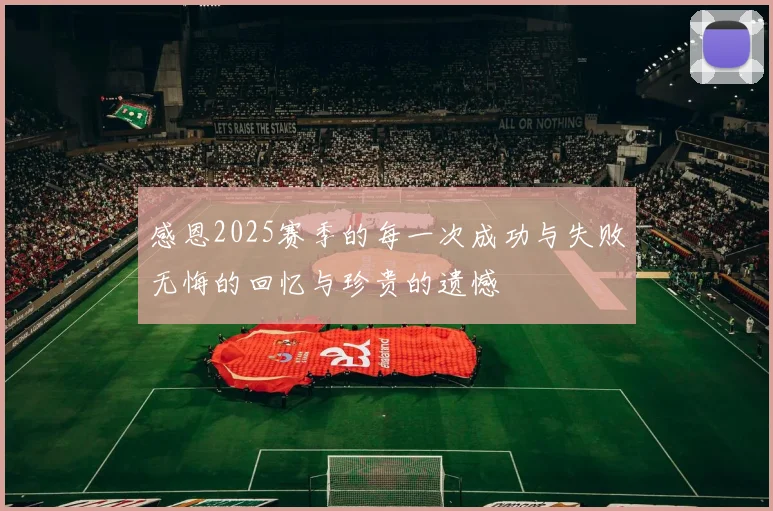 感恩2025赛季的每一次成功与失败无悔的回忆与珍贵的遗憾