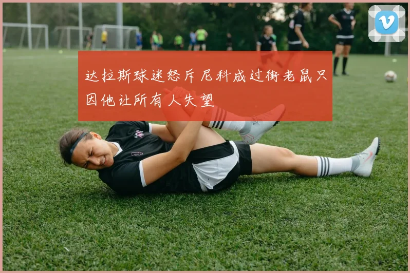 达拉斯球迷怒斥尼科成过街老鼠只因他让所有人失望