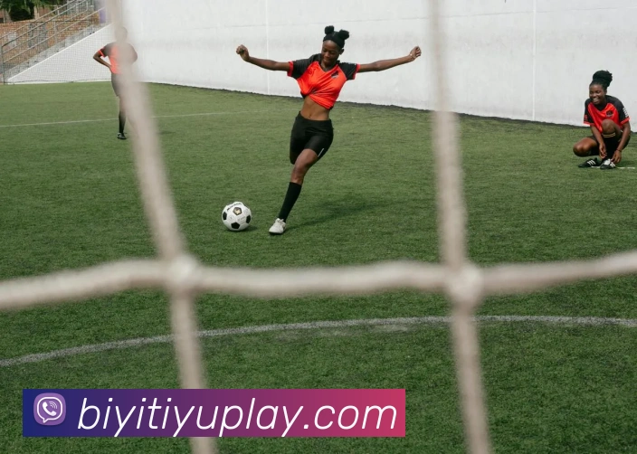 App Interface Preview